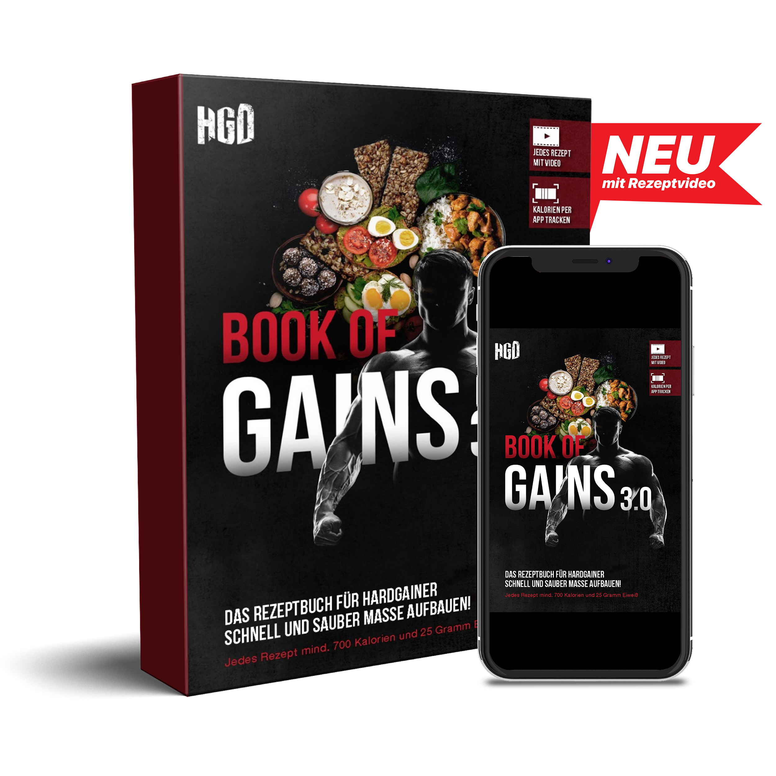 Book of Gains 3.0: Rezeptbuch für Hardgainer