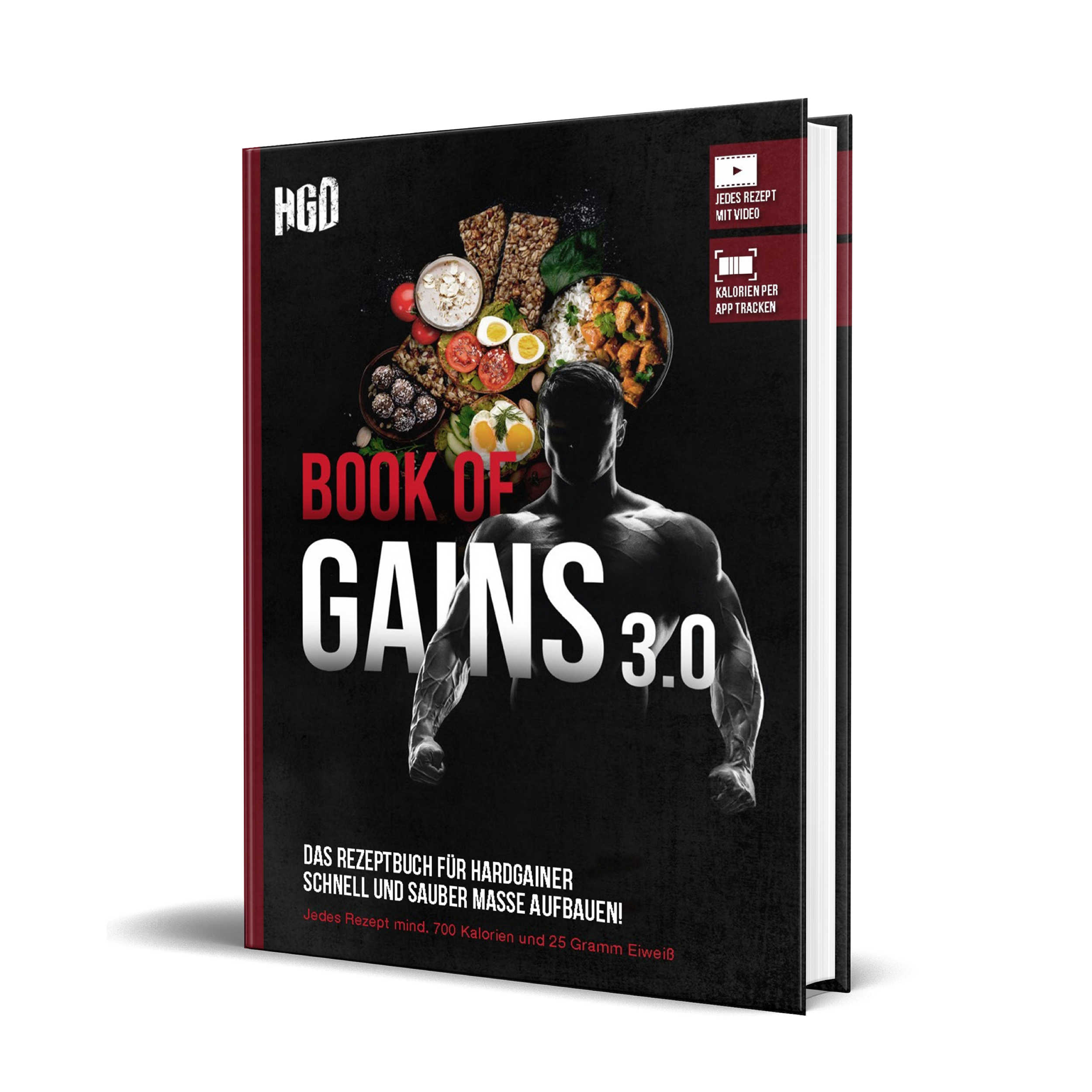 Book of Gains 3.0: Rezeptbuch für Hardgainer